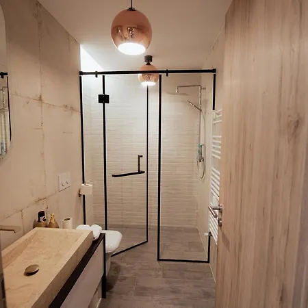Lejlighed Royal Penthouse Braşov